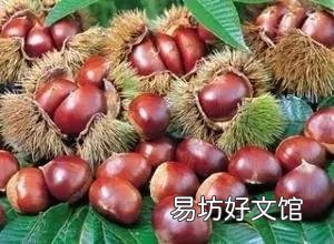47种常吃水果的成熟时间表 荔枝什么时候成熟季节