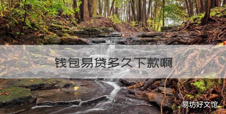 钱包易贷多久下款,7天4天秒过的网贷能下款吗