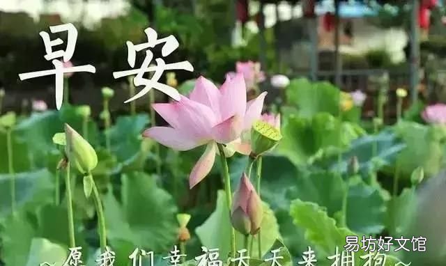 适合朋友间的早安问候语可以分享一下吗