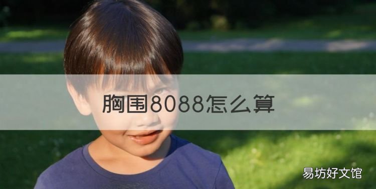 胸围8088怎么算,胸围尺寸怎么算的