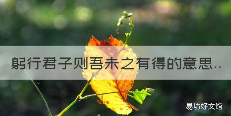 躬行君子则吾未之有得的意思