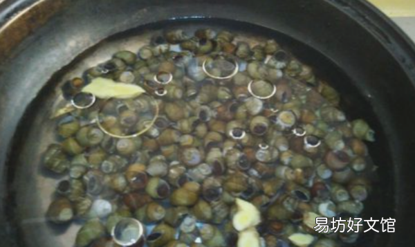 螺丝怎么吐泥沙快,螺丝怎样吐泥快一点