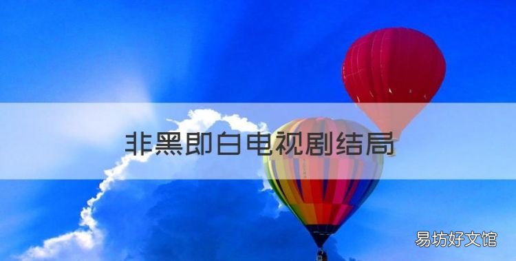 非黑即白电视剧结局,肖昂小蕊是什么电视剧KI