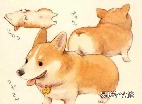 适合油痘肌的四大神水