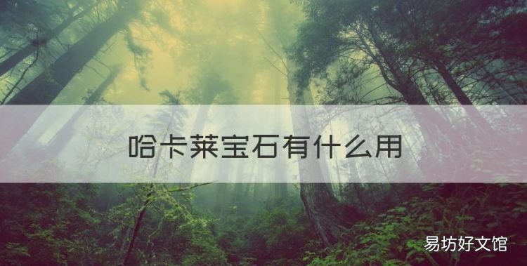 zg宝石一个多少声望,哈卡莱宝石有什么用