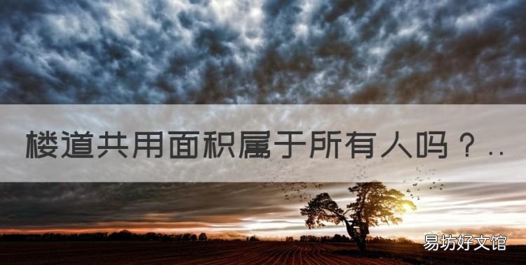 楼道共用面积属于所有人,楼道属于业主还是物业 民法典