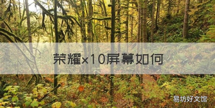 荣耀x0屏幕如何,荣耀x40手机参数配置详情