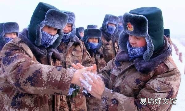 桃树冬天防冻措施,我们应该如何防治冻伤呢?