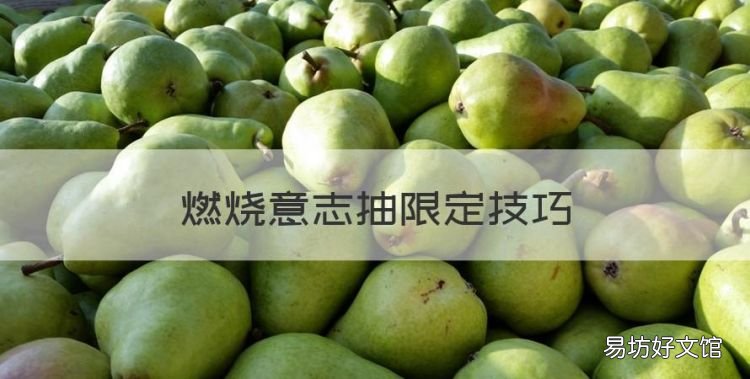 燃烧意志抽限定技巧,燃烧意志新区索隆抽卡技巧视频