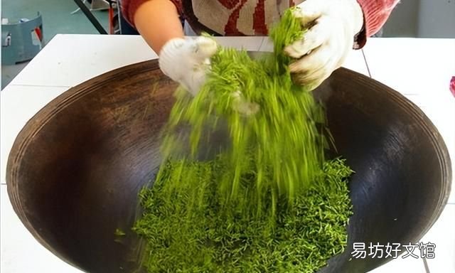 碧螺春是哪类茶,碧螺春是一种什么茶