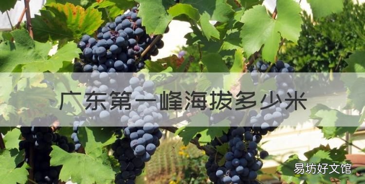 广东第一峰叫什么山,广东第一峰海拔多少米