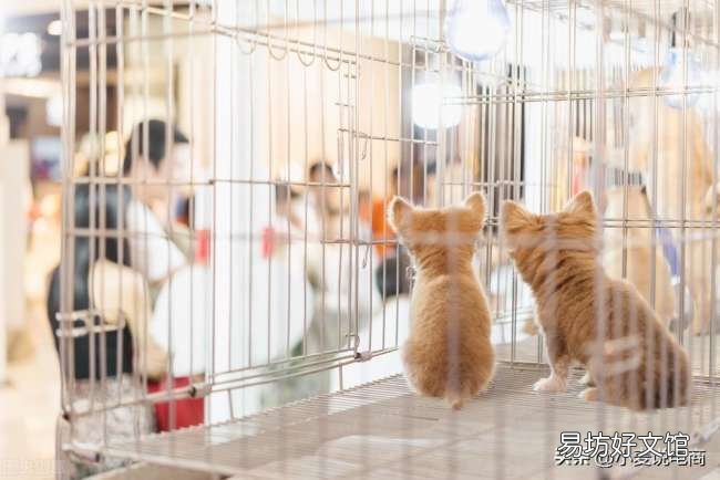 五个投资小利润大项目推荐 小型创业什么项目好