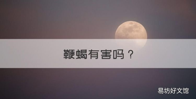 鞭蝎有害,麒麟鞭重量大对人有害吗