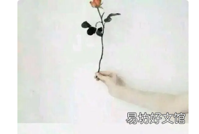 久处不厌下一句是什么,乍见之欢不如久处不厌下一句是什么意思