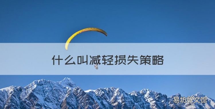 什么叫减轻损失策略,医疗的损害最小原则是什么