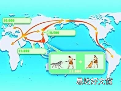 狗与狼是否有血缘关系呢
