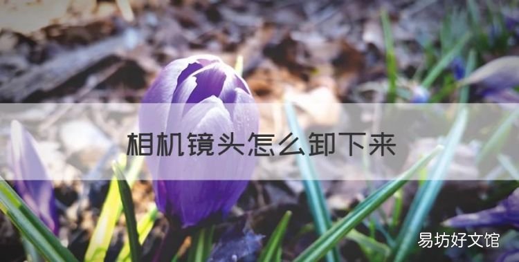 相机镜头怎么卸下来,数码相机镜头的分类及其特点是什么