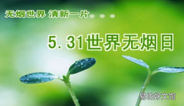 世界禁烟日是几月几号,世界无烟日是每年的几月几号