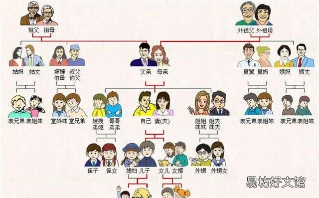直系亲属包括哪些人员,非直系亲属包括哪些人