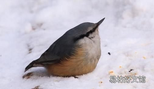 如何预防冬天水管,冻裂