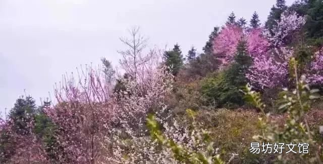 花都税务局在什么地方