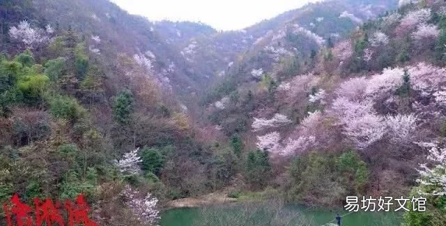 花都税务局在什么地方