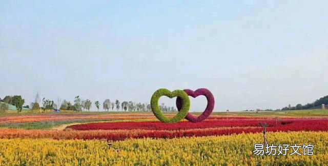 花都税务局在什么地方