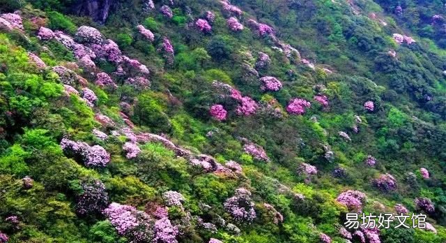花都税务局在什么地方