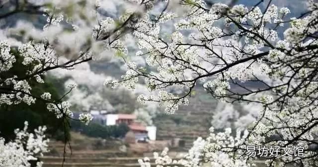 花都税务局在什么地方