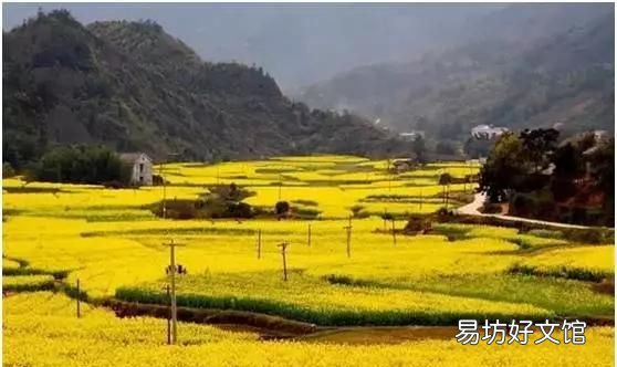 花都税务局在什么地方