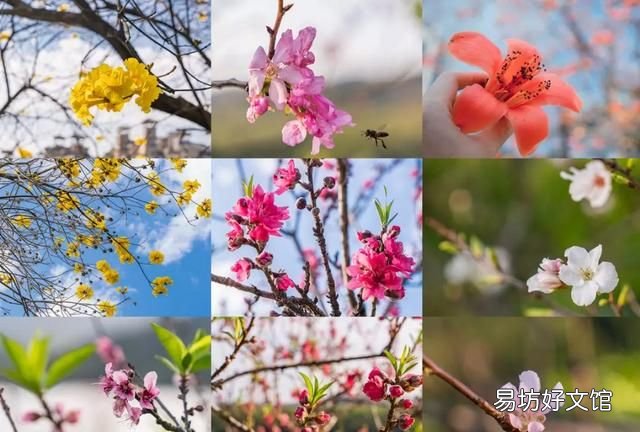 花都税务局在什么地方