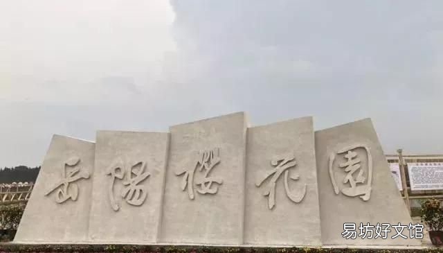 花都税务局在什么地方