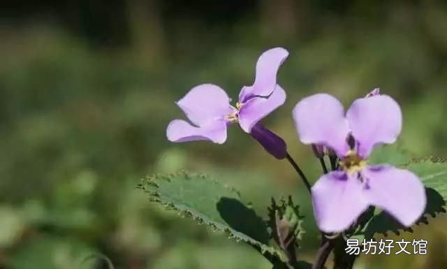 花都税务局在什么地方
