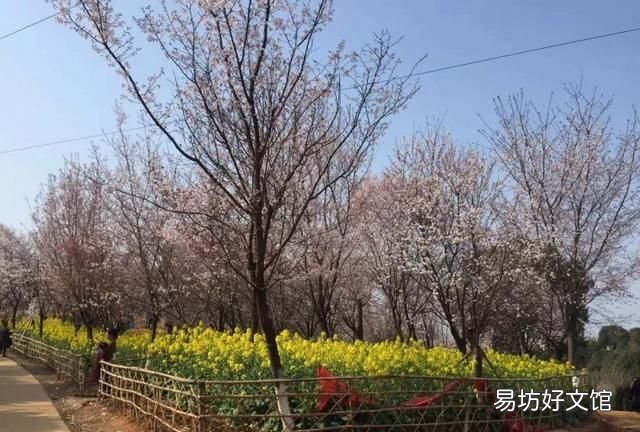 花都税务局在什么地方
