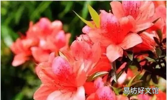 花都税务局在什么地方