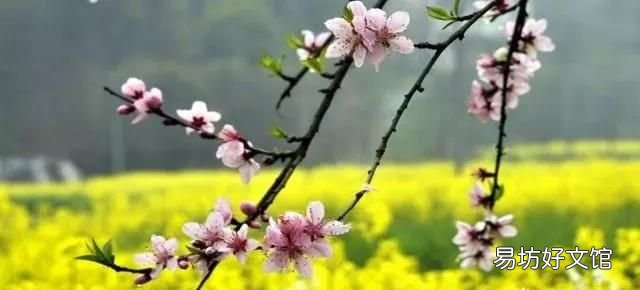 花都税务局在什么地方