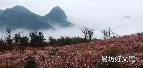 花都税务局在什么地方