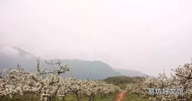 花都税务局在什么地方