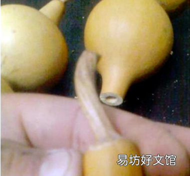 古代葫芦是怎么掏空的,葫芦怎么掏空 如何将葫芦掏空