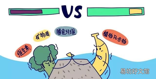 水果可以替代蔬菜的营养吗