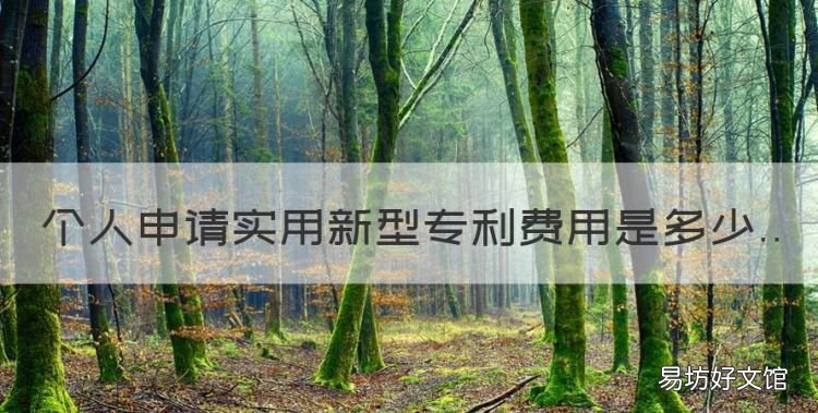 实用新型专利年费多少钱,个人申请实用新型专利费用是多少