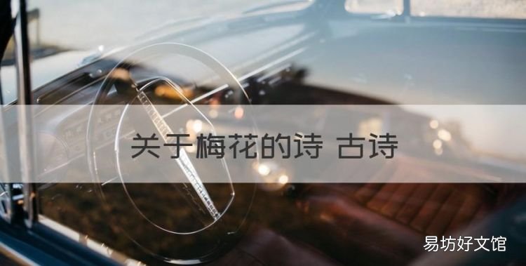 梅花的古诗有哪些，关于梅花的诗 古诗