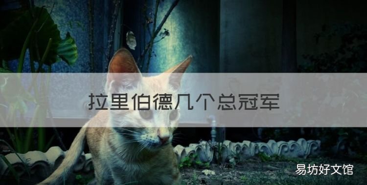 拉里伯德几个总冠军,nba的拉里伯德打球有什么技术特点吗