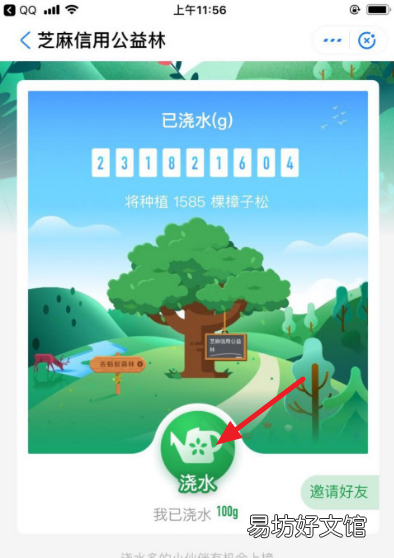 蚂蚁森林怎么变成粉色,蚂蚁森林树怎么变颜色了