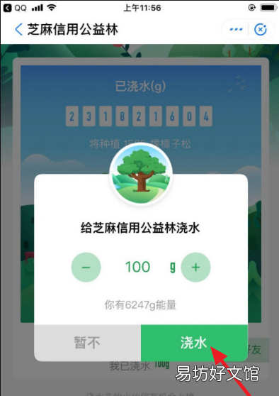 蚂蚁森林怎么变成粉色,蚂蚁森林树怎么变颜色了