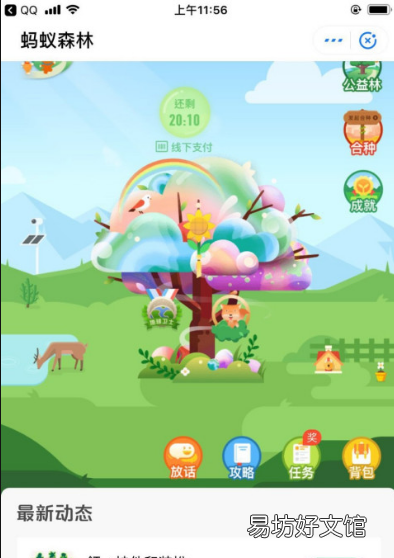 蚂蚁森林怎么变成粉色,蚂蚁森林树怎么变颜色了