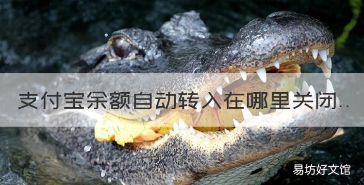 支付宝余额自动转入在哪里关闭