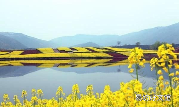 汉中平原面积有多大