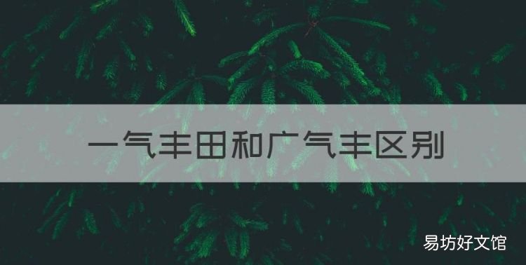 一气丰田和广气丰区别,一汽丰田和广汽丰田有什么区别