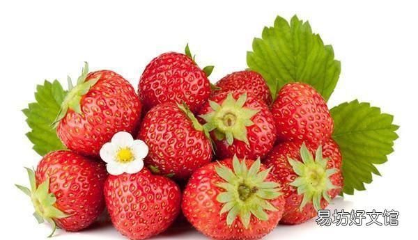 含糖低的水果有哪些水果 夏天吃什么水果好?